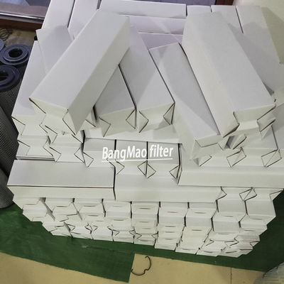 Reemplazar ARGO W3062308/ WG245 Elemento de filtro de aceite hidráulico Apoyo técnico por vídeo