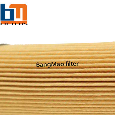 Sistema de lubricación Cartuchos de filtro de aceite hidráulico R111C10B para aplicaciones OEM