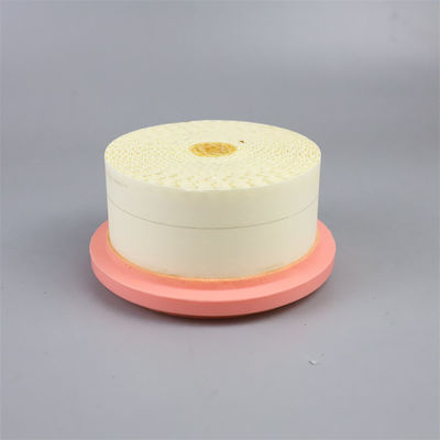 Filtro de aire del compresor de aire 6.4161.0 3 meses 1 kg para filtración de aire de larga duración